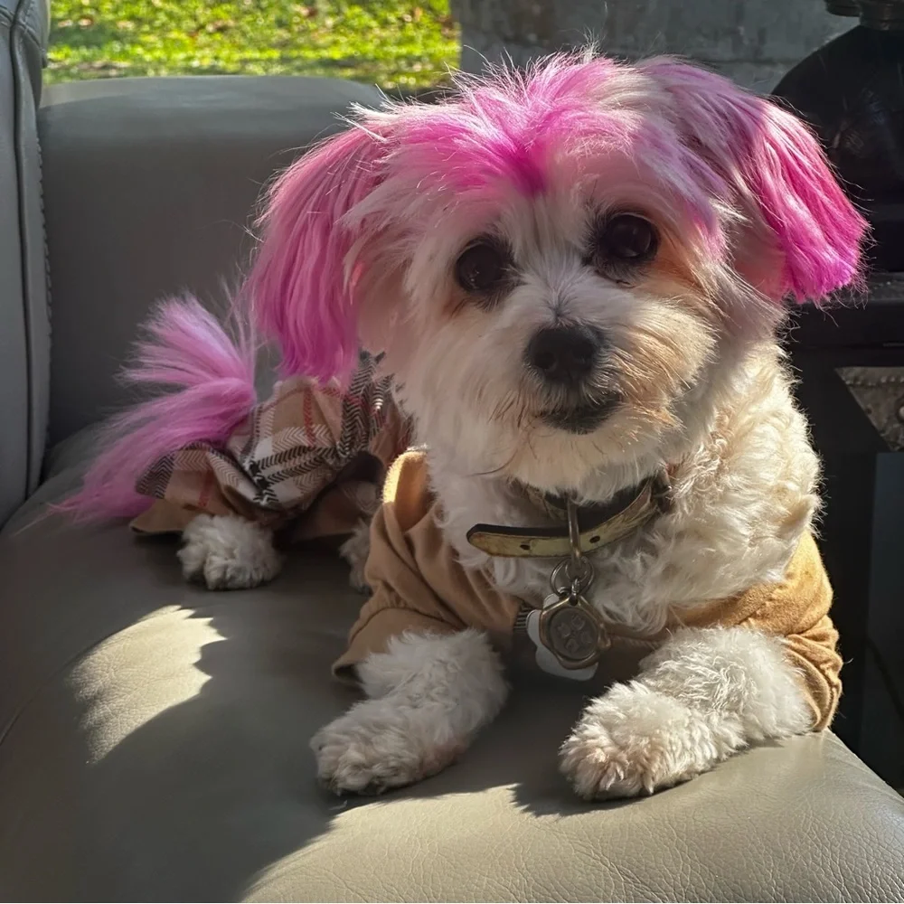 like for notification of my live show mystery bags Patricia Nash - Picture 5 of 5